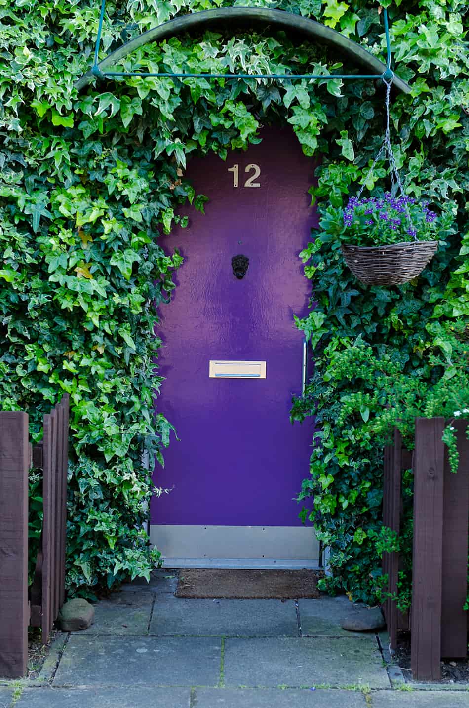 紫色門裝飾有懸掛植物