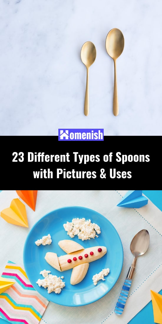 23種不同類型的勺子，配有圖片和用途