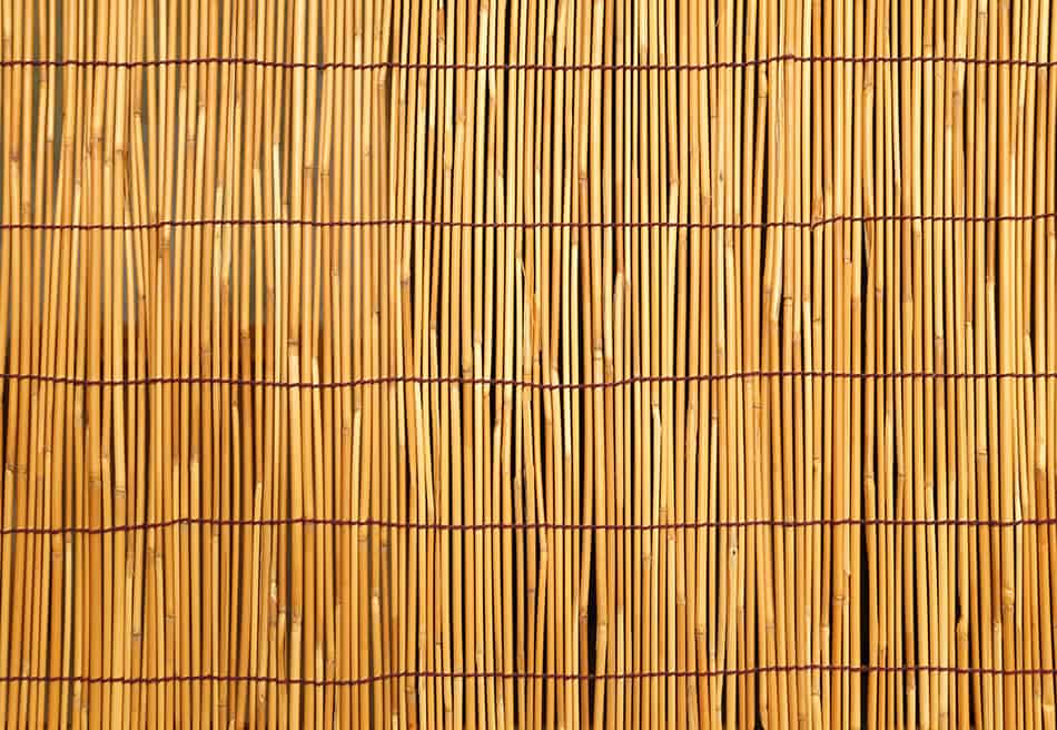 竹子作為一個房間分隔線