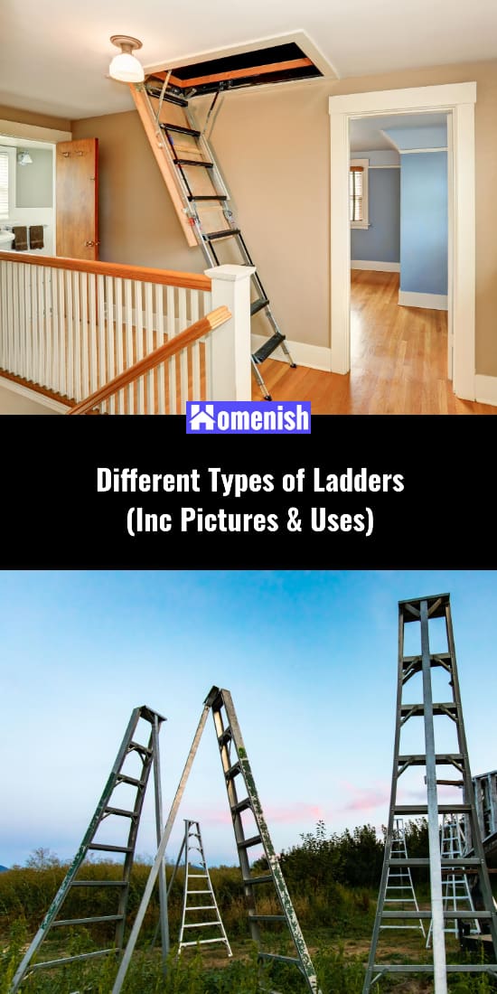 不同類型的梯子