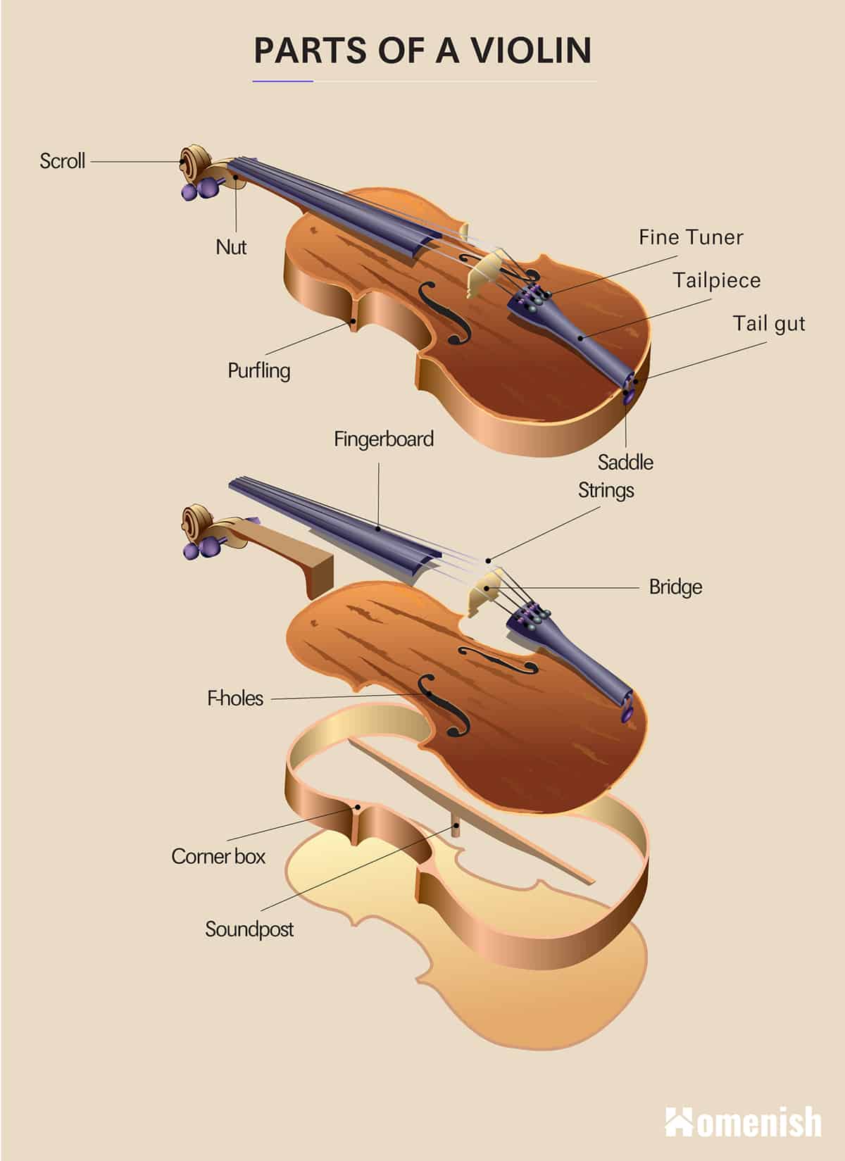 小提琴圖的部分