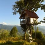 9 Treehouse Color Ideas for a Homely Hideaway