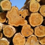 Types of Teak Wood