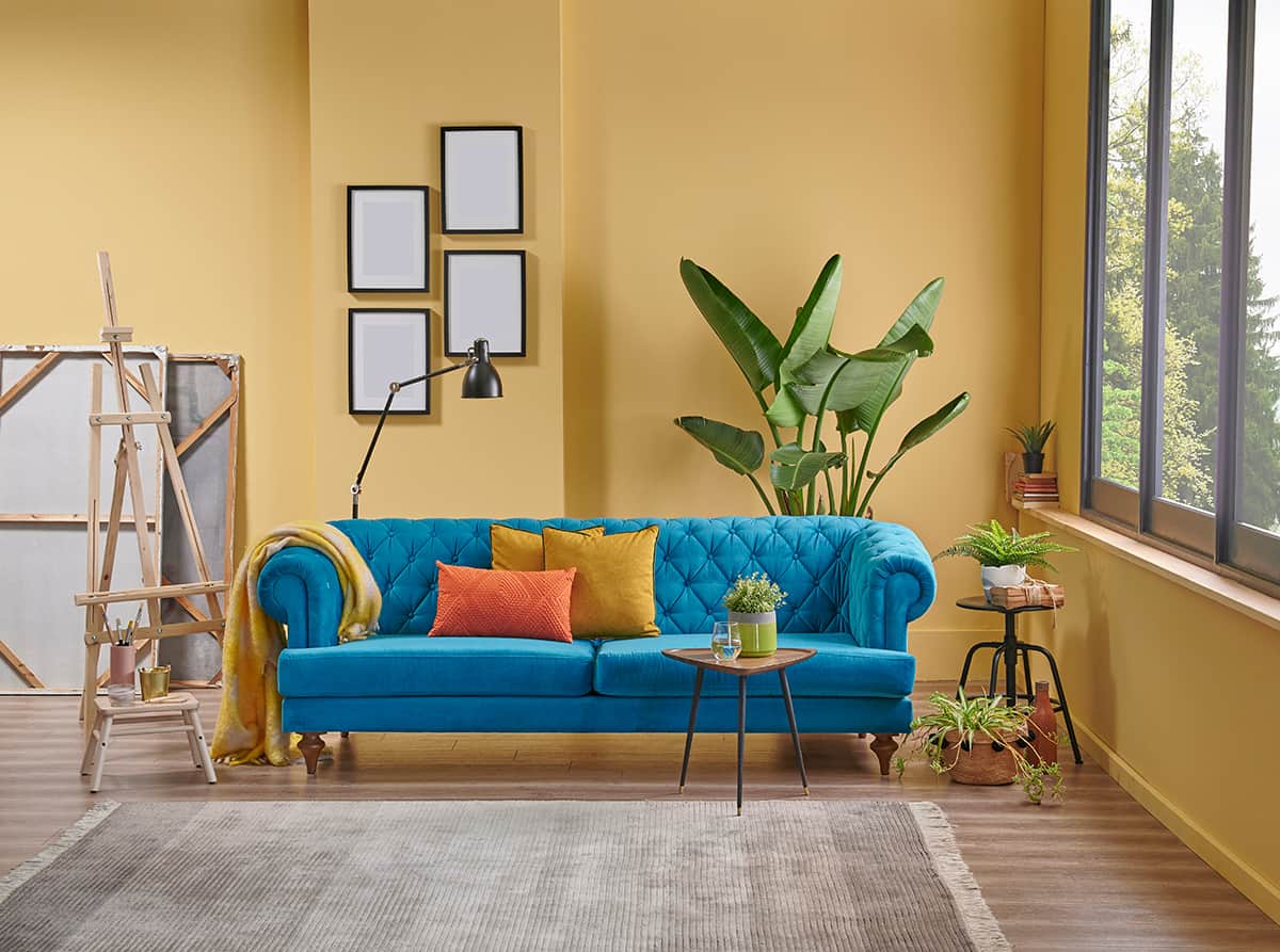 黃色藍色家具