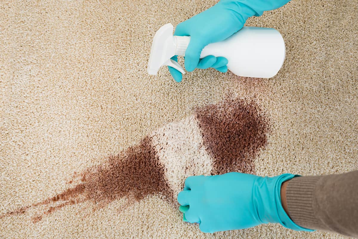 地毯清潔劑噴霧劑